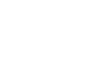 Selim Farag Group