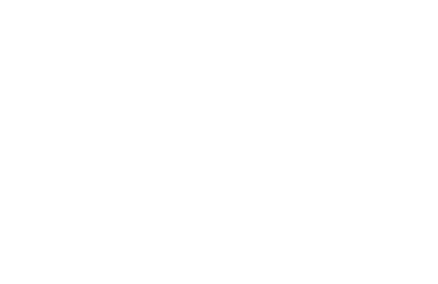 Smart Innovations Development