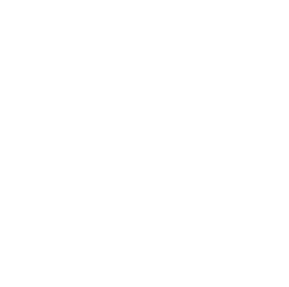 Woodek